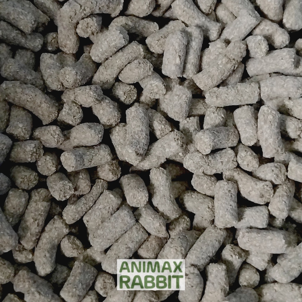 Animax Rabbit [rep] 10