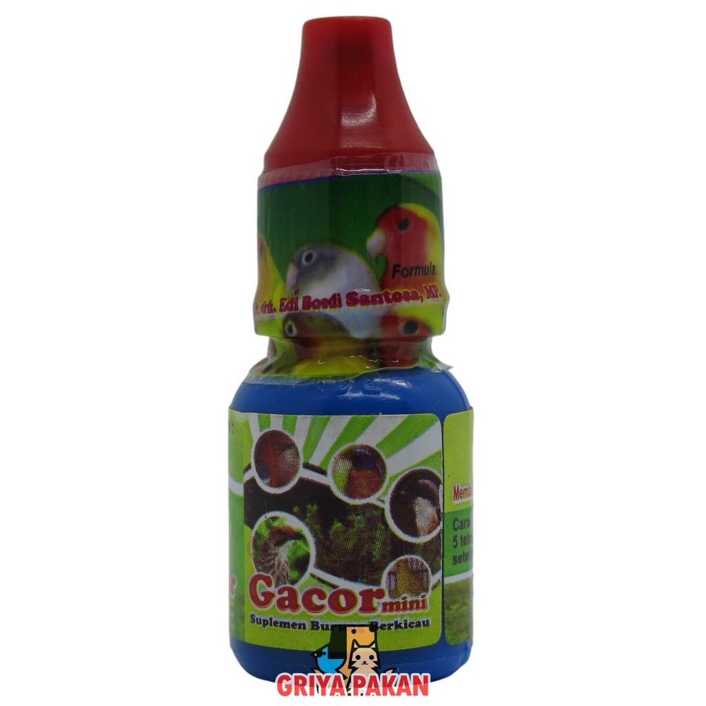 Gacor Mini - drh edi