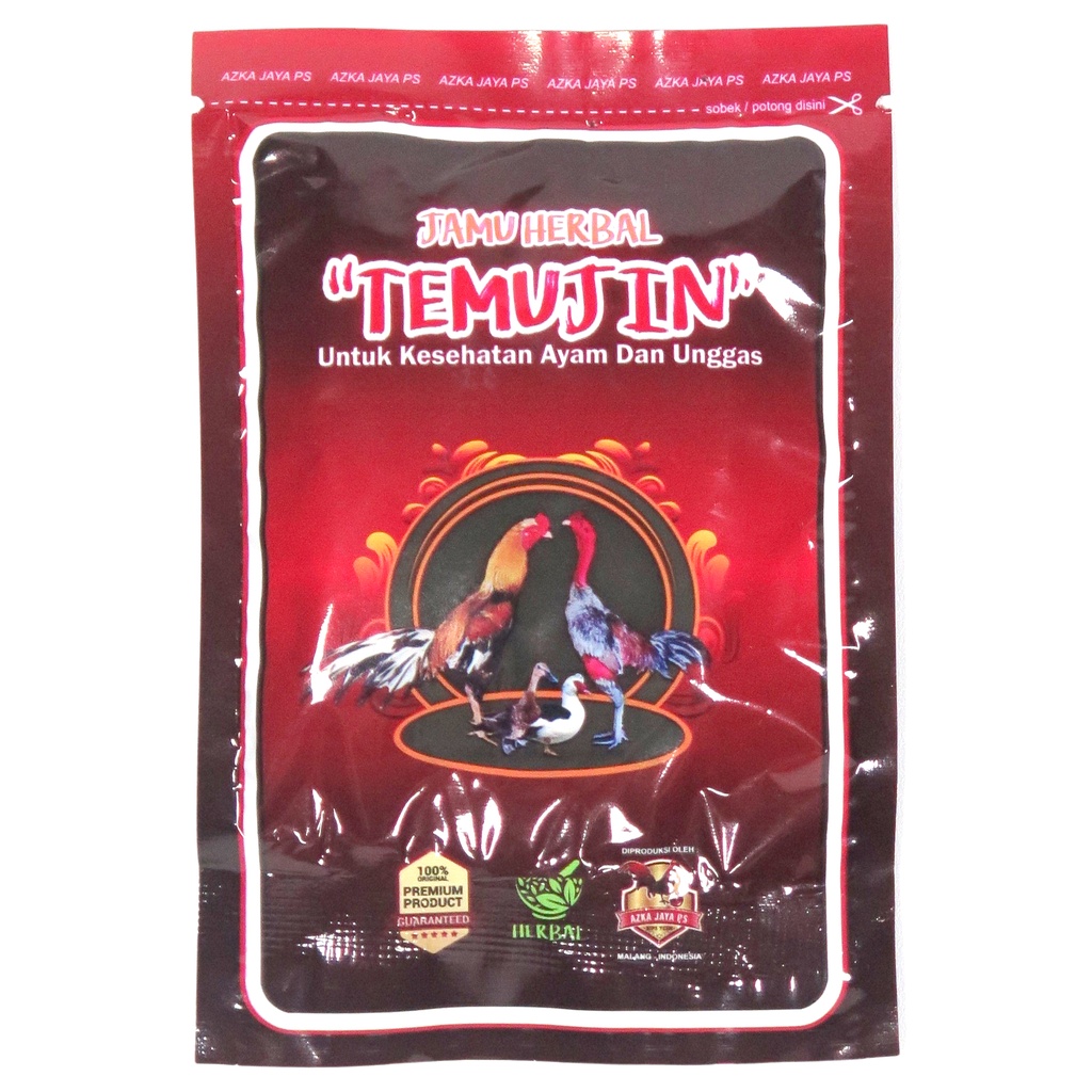 Temujin