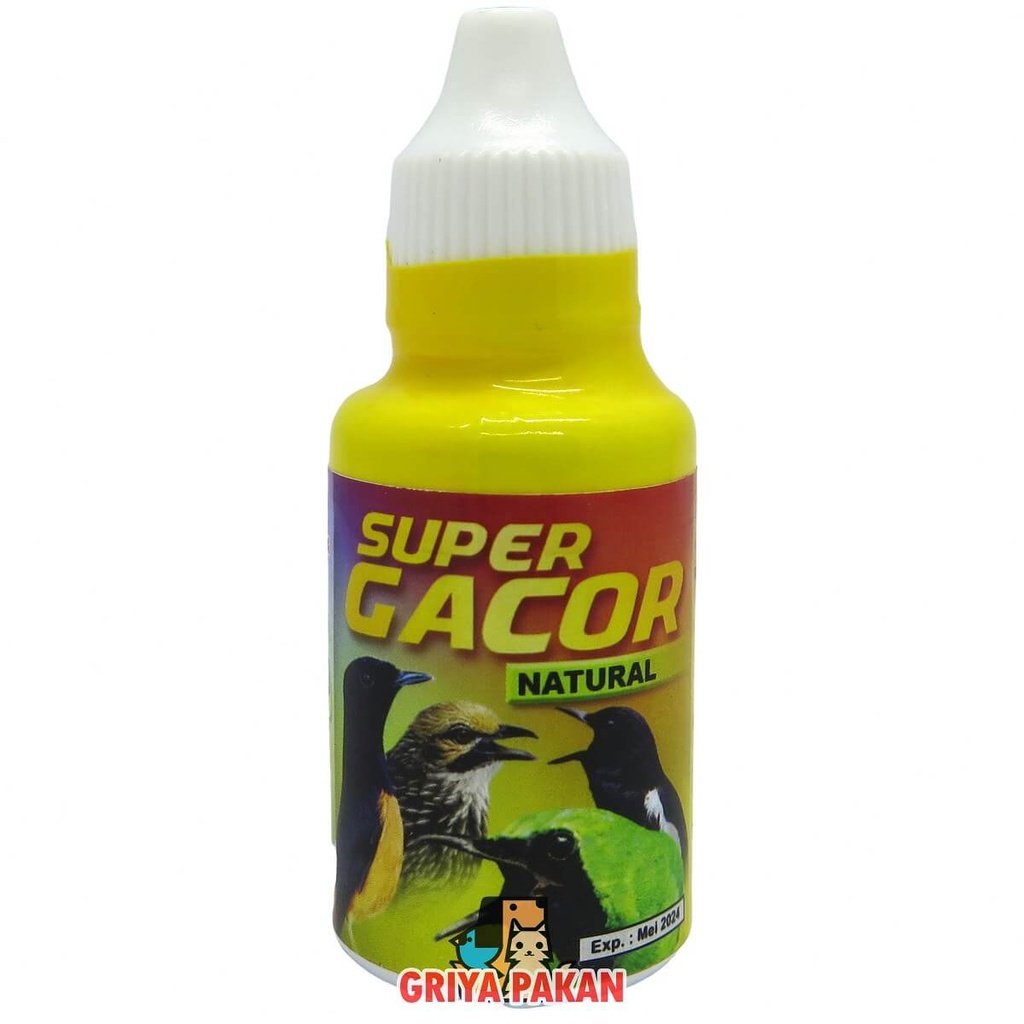 Healty Super Gacor