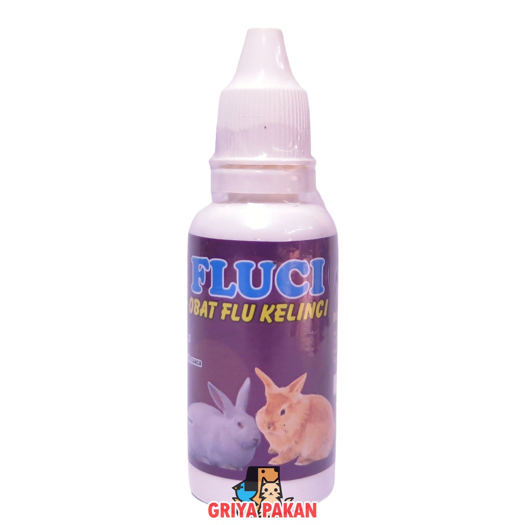 Fluci Kelinci SJ Abadi
