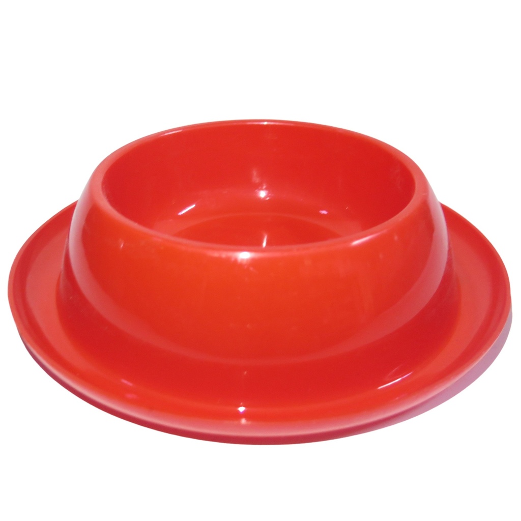 Chiro Plate 11 Single