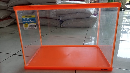 Gex Bahari Orange uk: l