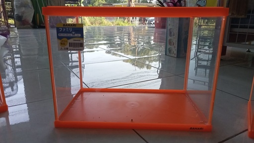 Gex Bahari Orange uk: m