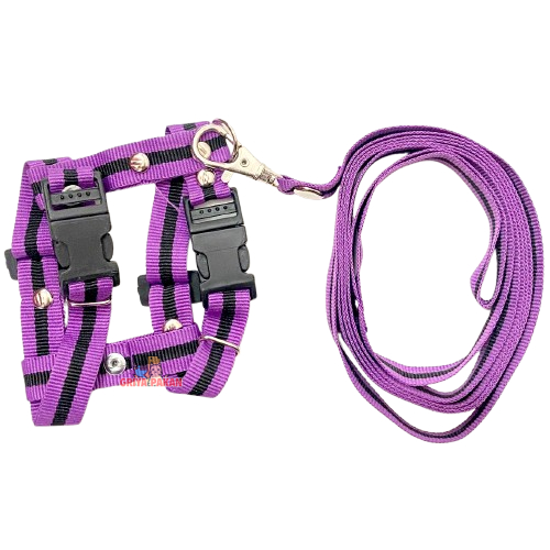 Tali Harnes H Polos
