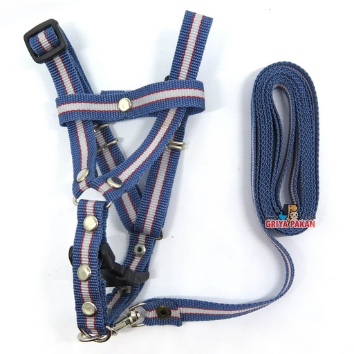 Tali Harnes Y Polos