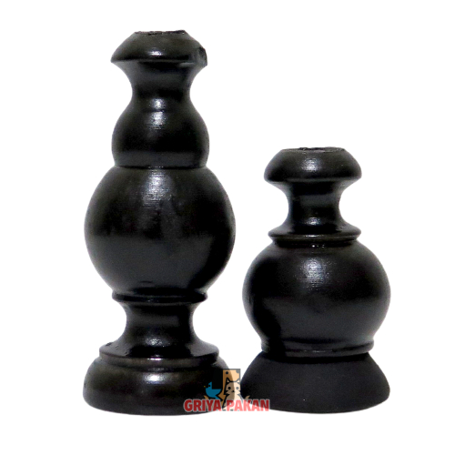 Pion Kayu Anis / Murai