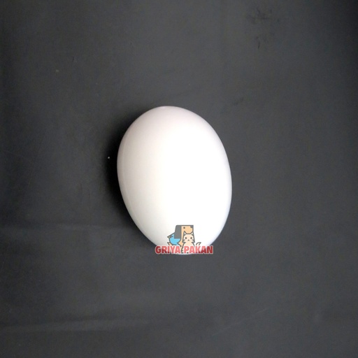 Mainan Telur