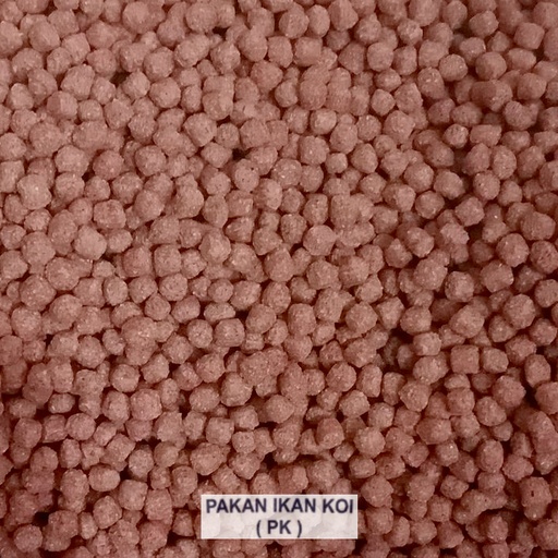 PK2 Merah [rep] 5