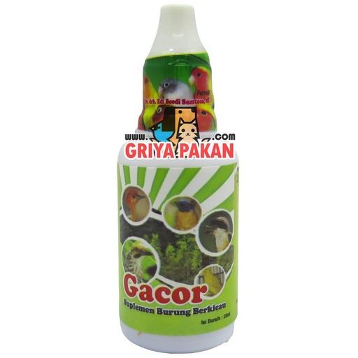 Gacor Besar - drh Edi