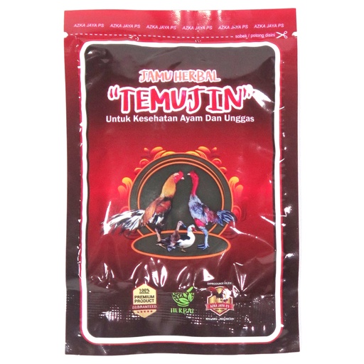 Temujin