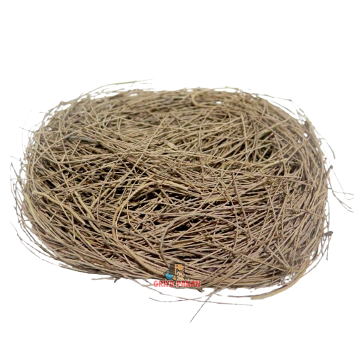 Serat Cemara